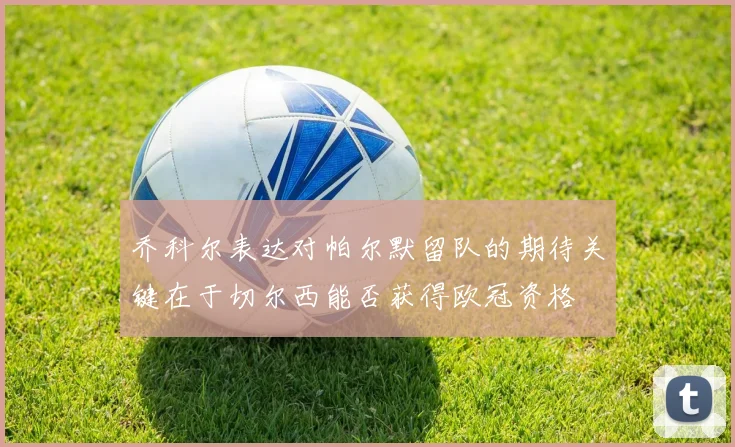 乔科尔表达对帕尔默留队的期待关键在于切尔西能否获得欧冠资格