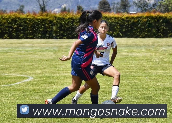 多端互动